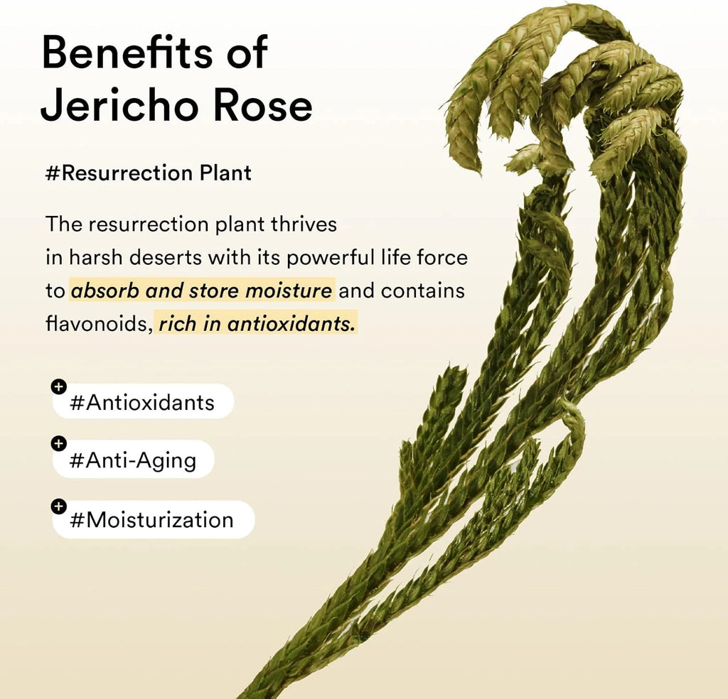 Abib - Collagen Eye Patch Jericho Rose Jelly 90g / 60pcs